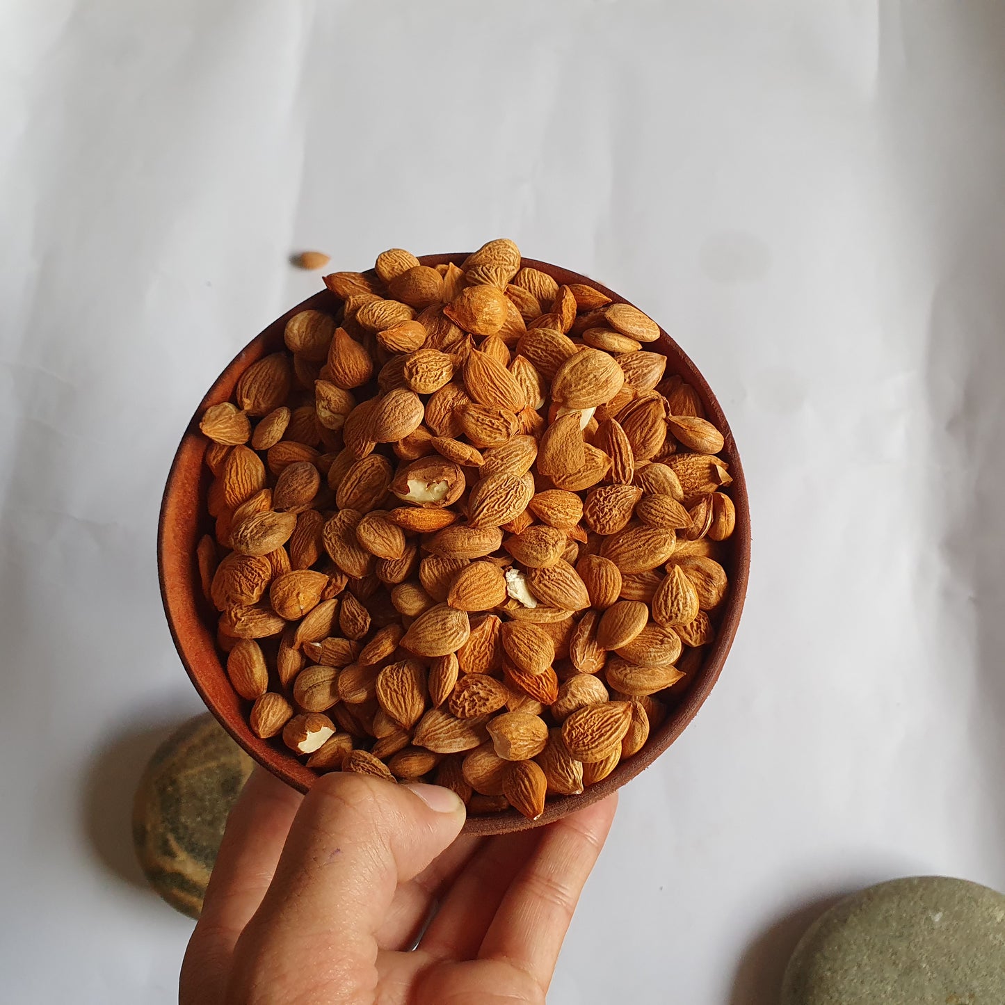 Premium Hunza Apricot Kernels | Organic Sweet & Bitter Apricot Seeds from Gilgit Baltistan