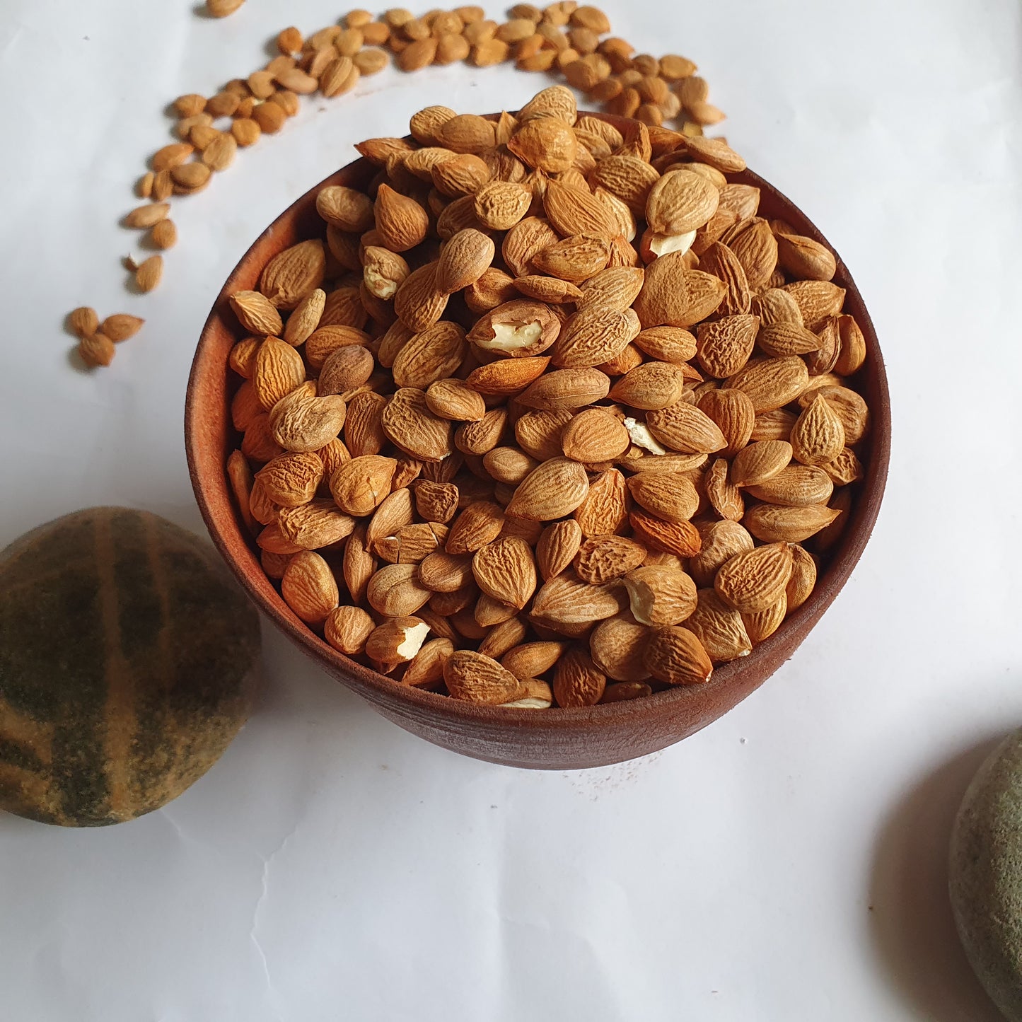 Premium Hunza Apricot Kernels | Organic Sweet & Bitter Apricot Seeds from Gilgit Baltistan